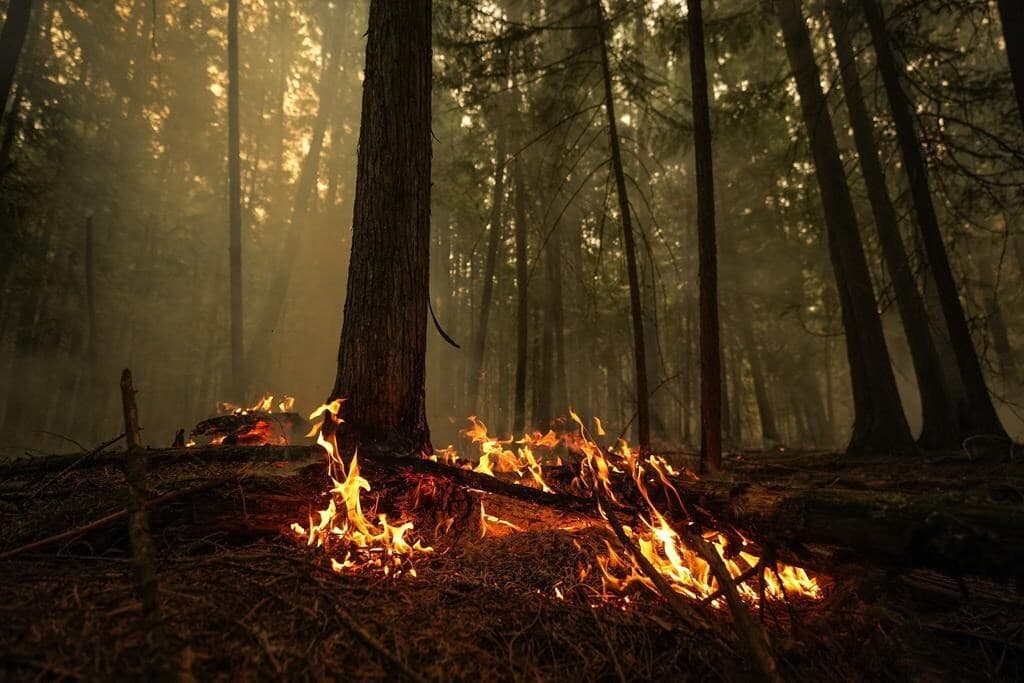 b-c-wildfires-province-extends-state-of-emergency-for-2-weeks