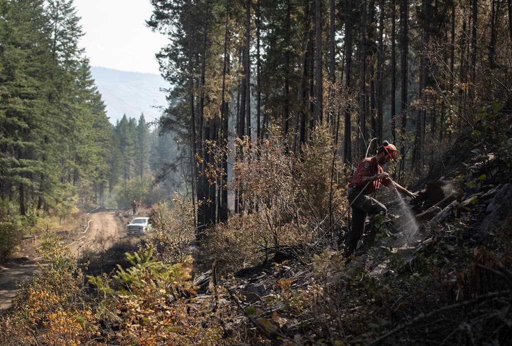 number-of-wildfires-in-b-c-falls-to-below-250-cooler-temperatures