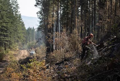 number-of-wildfires-in-b-c-falls-to-below-250-cooler-temperatures