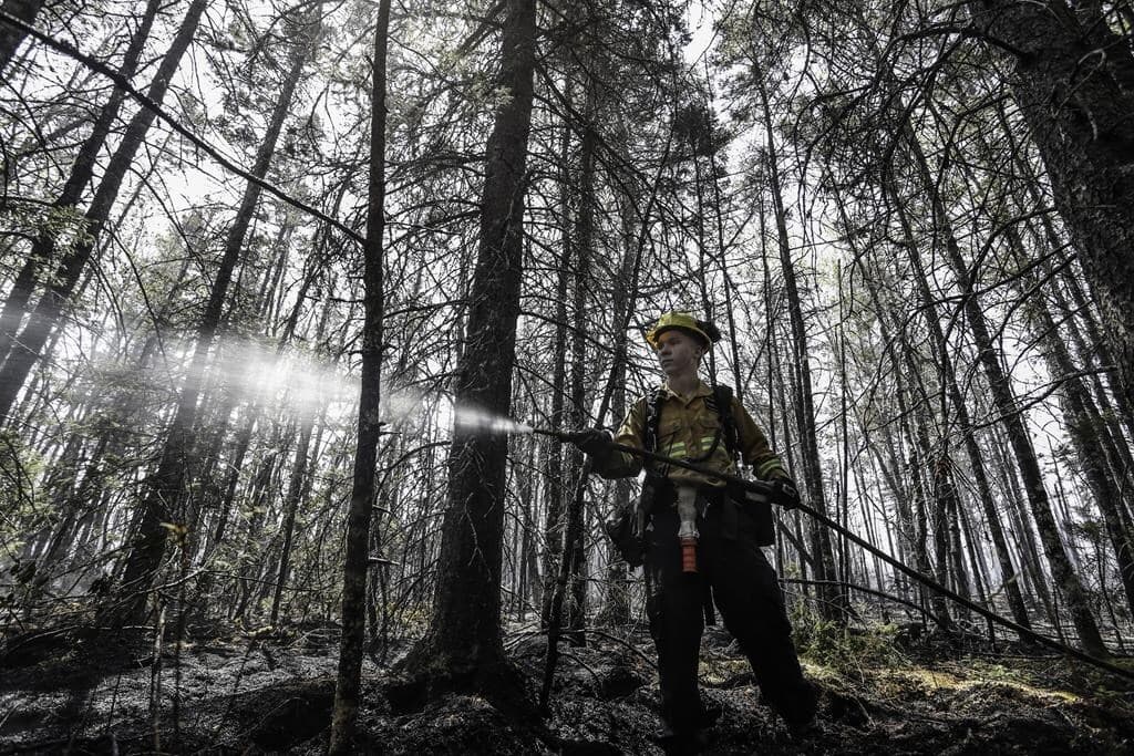 nearly-700-more-international-firefighters-coming-to-canada-to-help-battle-fires
