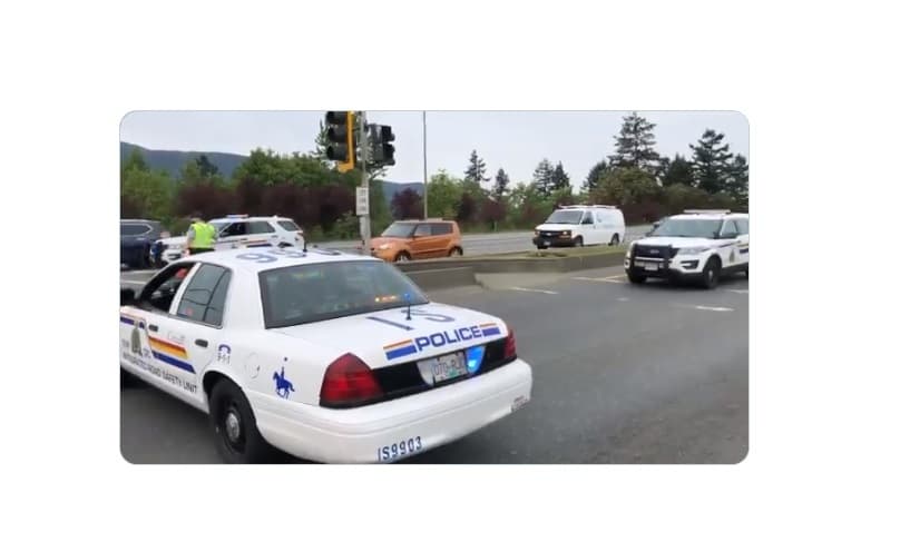 impaired-driving-investigation-launched-after-woman-seriously-injured-in-hit-and-run-crash