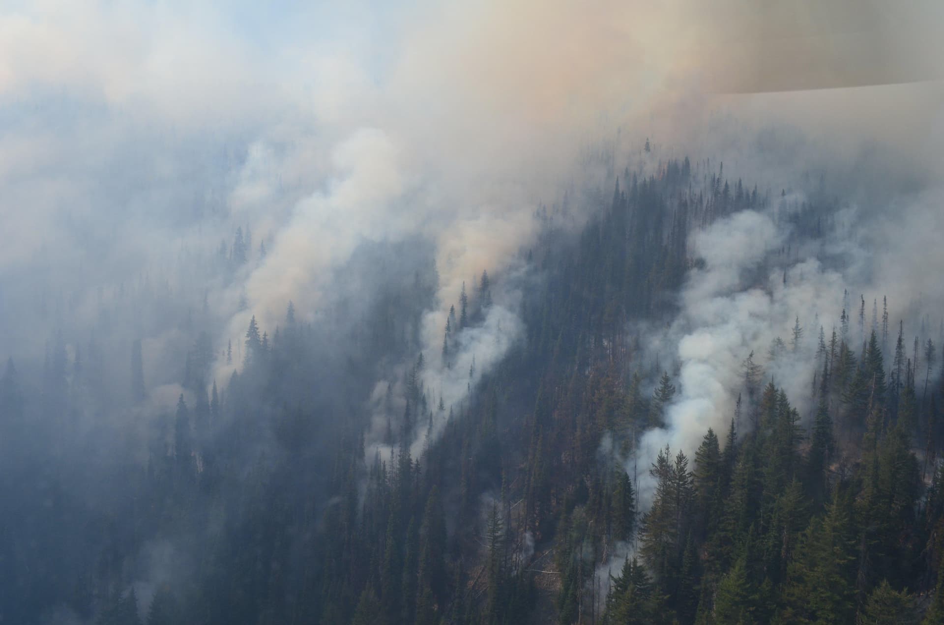 evacuation-order-issued-in-shuswap-after-massive-wildfire