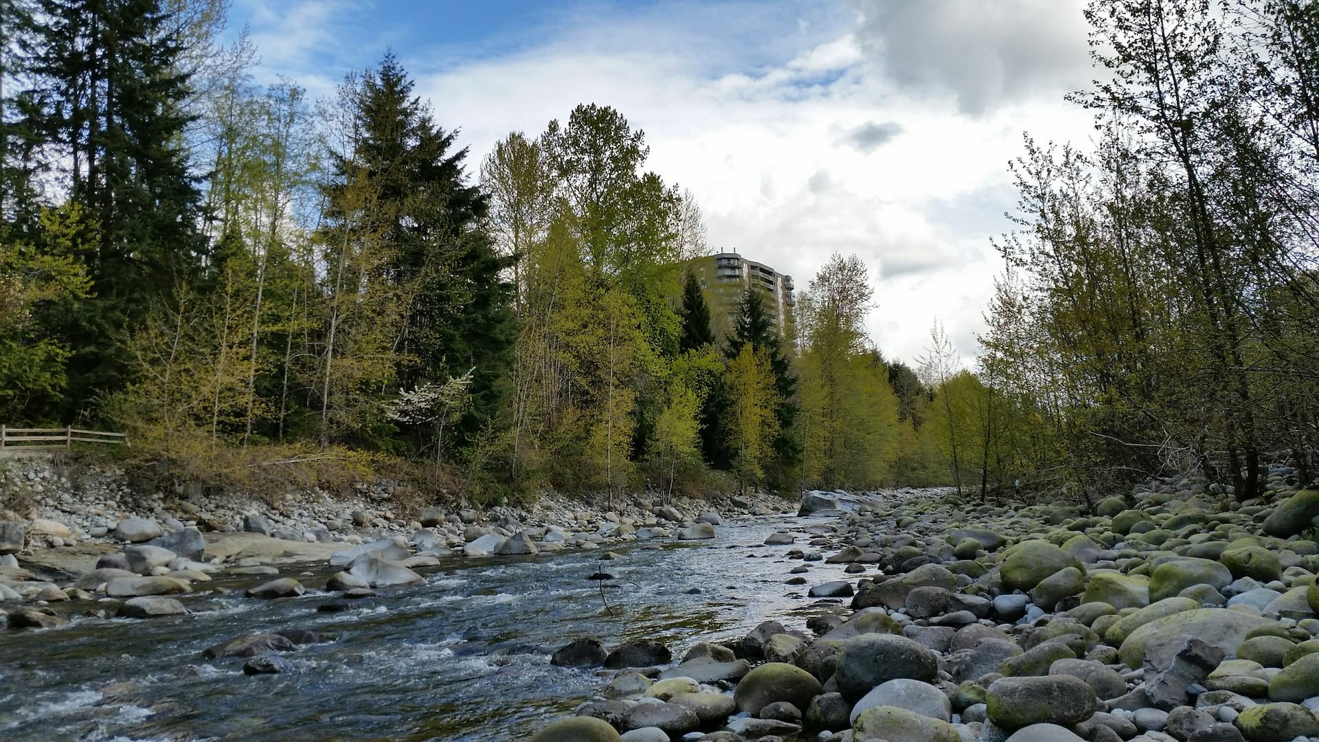 anglers-hikers-warned-of-river-fluctuations-on-capilano-river
