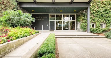 vancouver-park-board-considers-ban-on-feeding-any-wild-animal-bird-in-city-parks