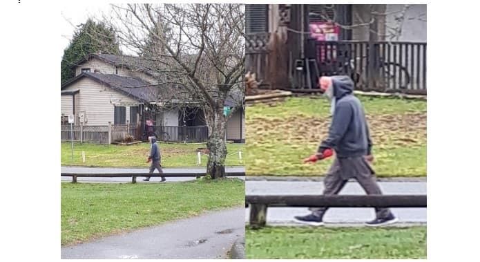 suspect-arrested-in-alleged-sexual-assault-at-a-park-in-surrey