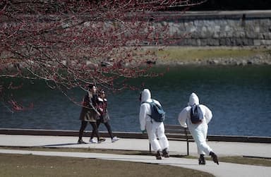 nearly-1-900-warnings-issued-over-the-weekend-vancouvers-park-and-beach-parking-lots-to-remain-closed-for-now
