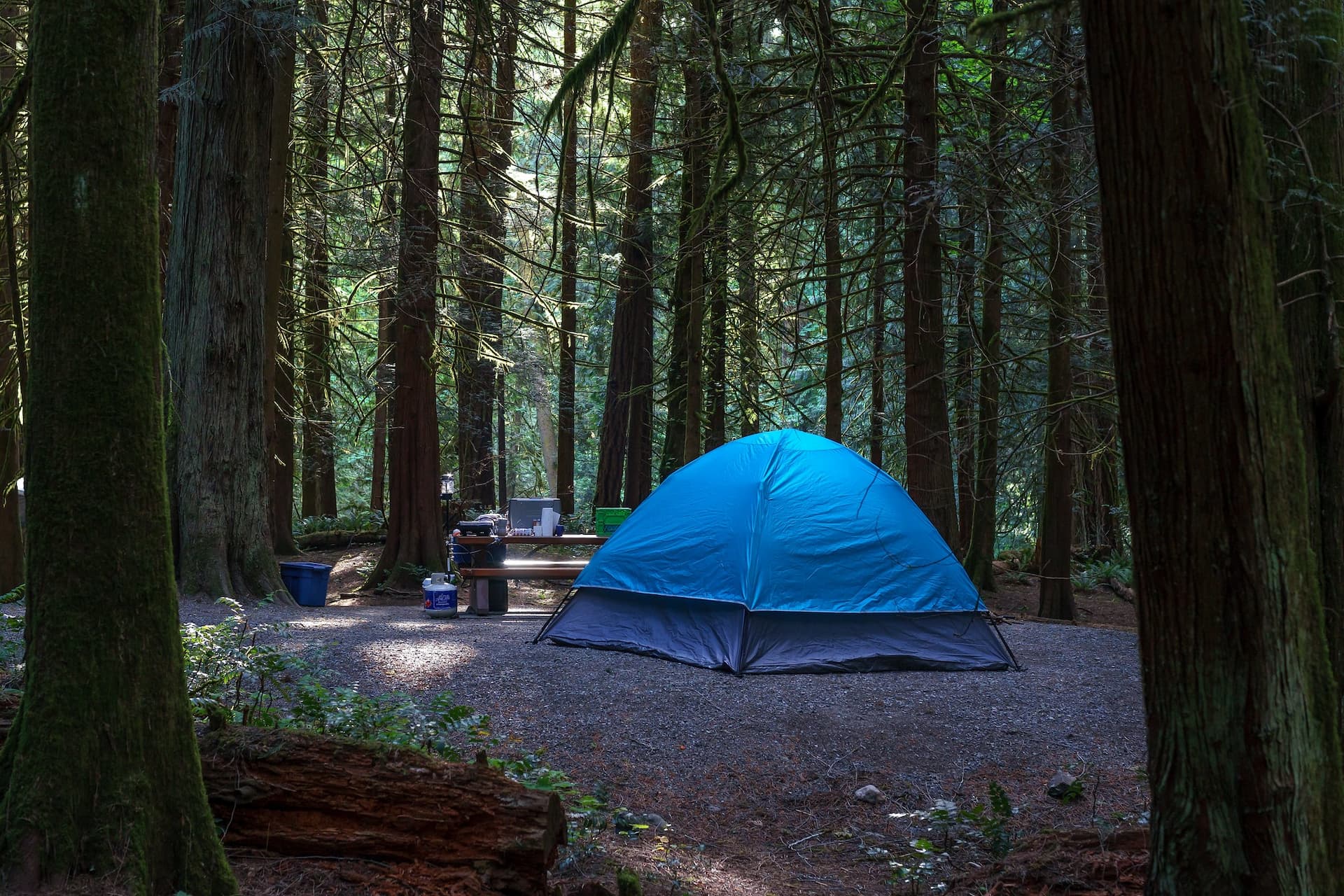 city-park-board-put-plan-in-place-to-empty-vancouver-tent-encampment-for-homeless