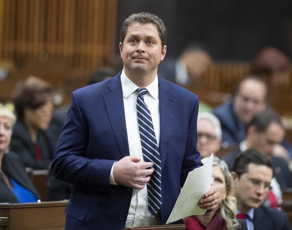 the-federal-conservatives-will-choose-their-next-leader-at-a-convention-on-june-27-in-toronto