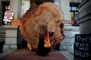 letter-signed-by-200-leaders-seeks-protection-for-b-c-s-old-growth-forests