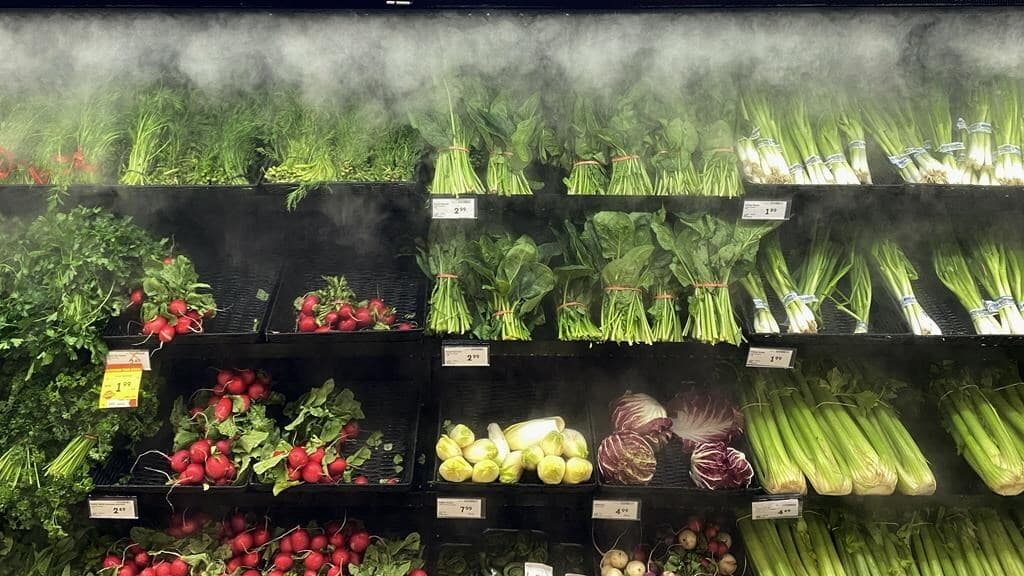 grocery-prices-will-soon-see-stability-champagne