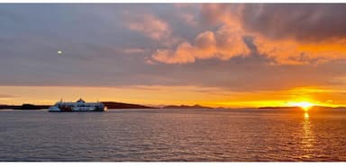 bc-ferries-sailing-delayed-after-a-passenger-went-overboard
