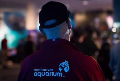 vancouver-aquarium-closes-programming-amid-financially-challenging-time
