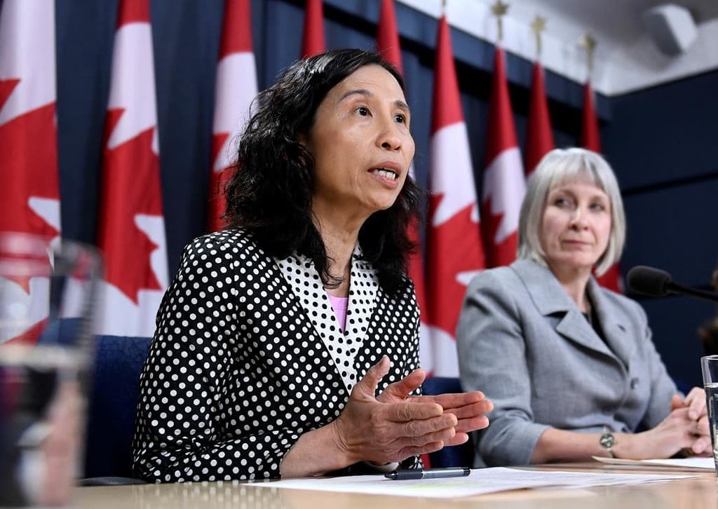 canadas-top-doctor-warns-against-travelling-on-cruise-ships