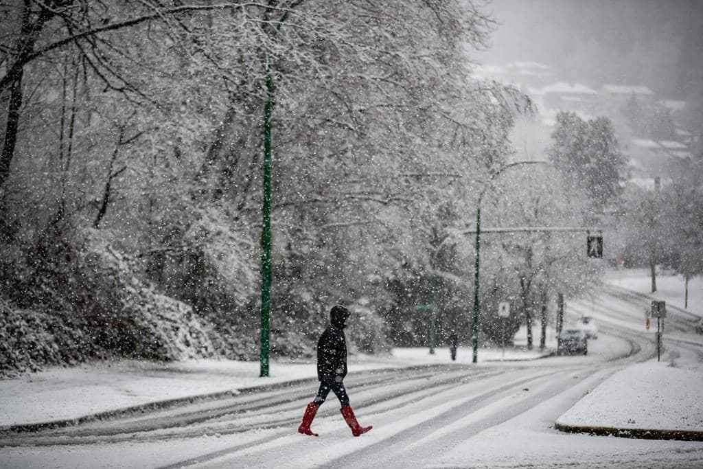 thousands-still-without-power-after-winter-arrives-in-b-c-with-a-whallop