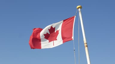 canada-to-accept-over-1-million-new-immigrants-in-next-three-years-amid-covid-19-restrictions