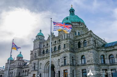 old-growth-logging-protesters-gather-outside-premiers-office-as-legislature-resumes
