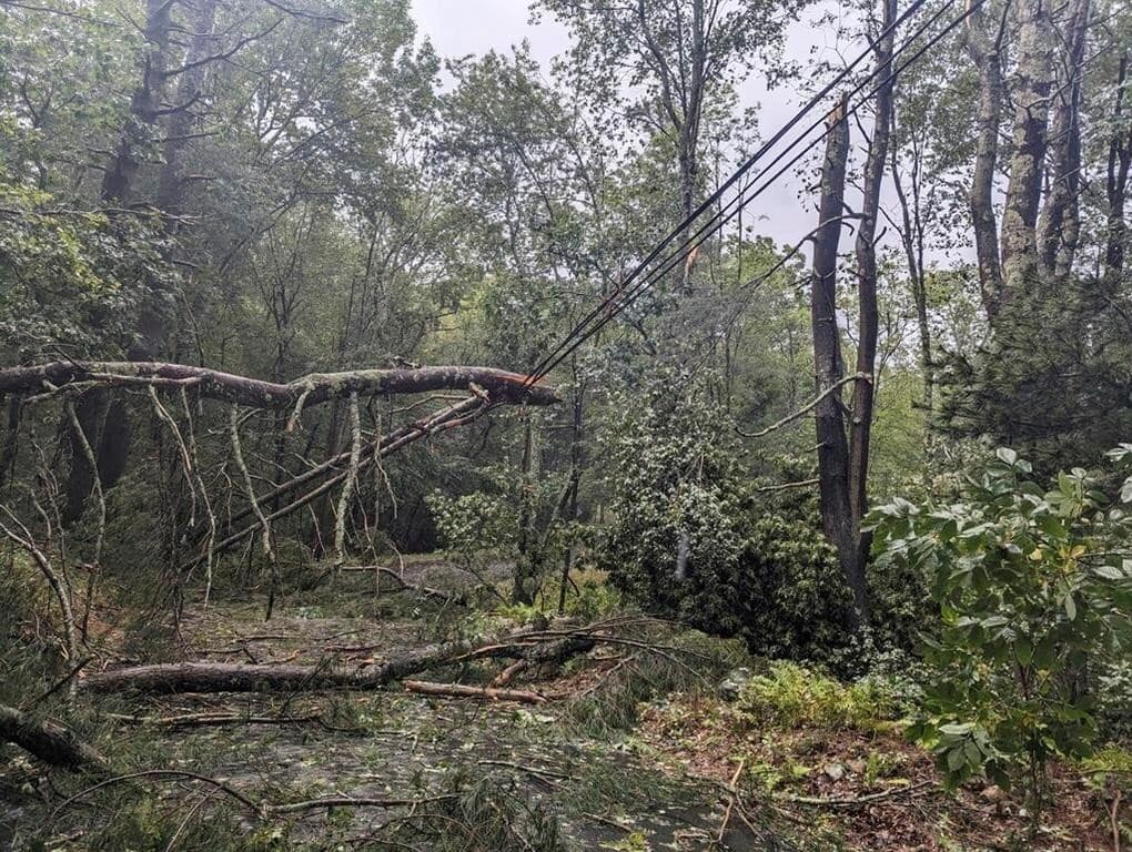warning-issued-due-to-hurricane-lee-storm-power-cuts-floods-likely