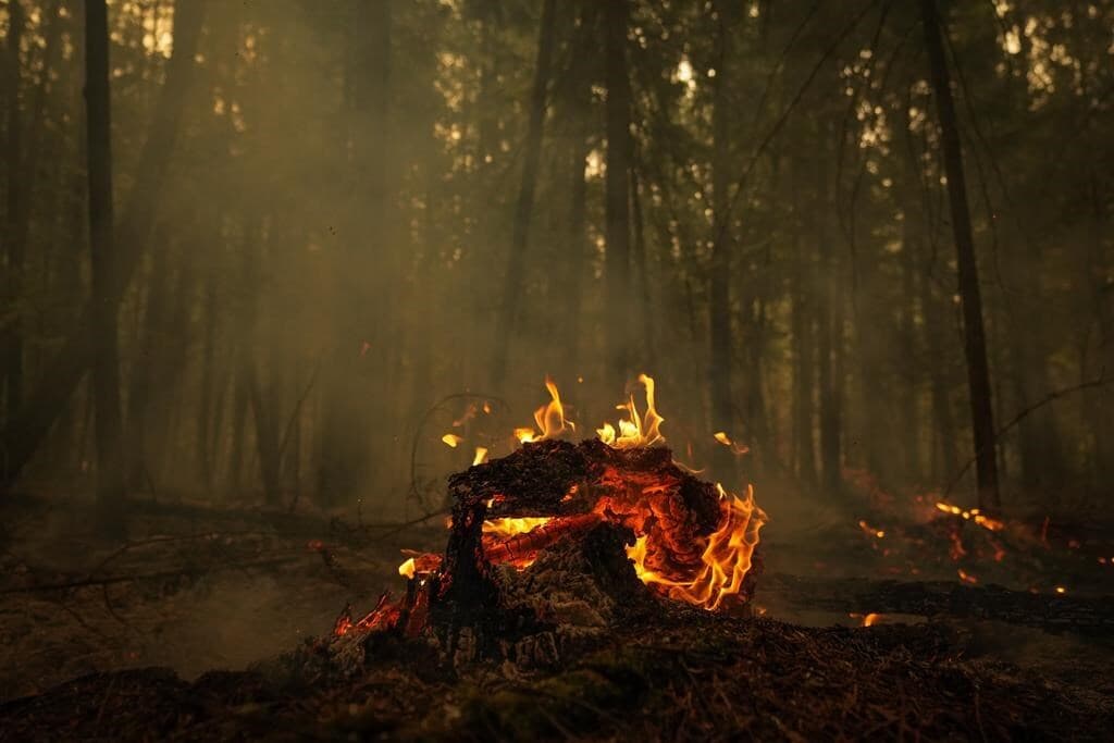 heavy-rain-helped-douse-wildfires-in-british-columbia
