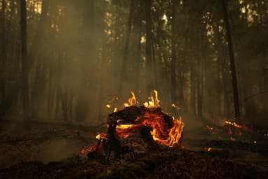 heavy-rain-helped-douse-wildfires-in-british-columbia