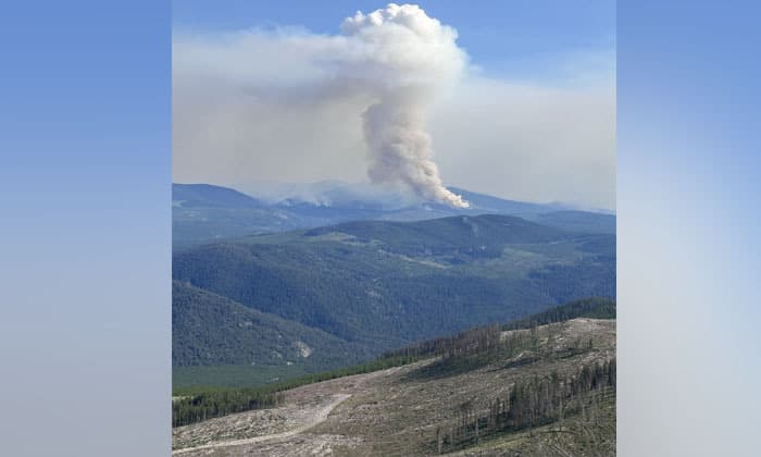 b-c-wildfires-holding-under-370-with-30-per-cent-classified-as-out-of-control