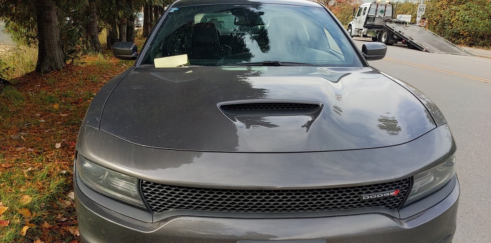 police-have-you-spotted-the-black-cat-in-surrey