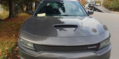 police-have-you-spotted-the-black-cat-in-surrey