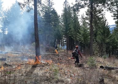 bc-wildfire-service-will-send-41-firefighters-and-two-support-staff-to-manitoba-to-help-with-firefighting-efforts