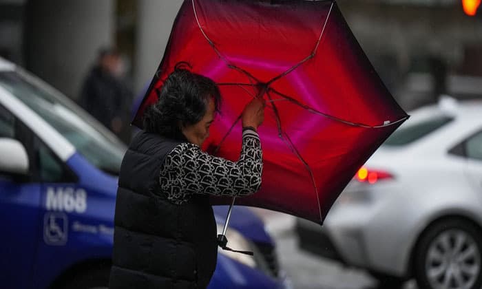 lights-back-on-for-almost-all-bc-hydro-customers-who-lost-power-in-strong-winds