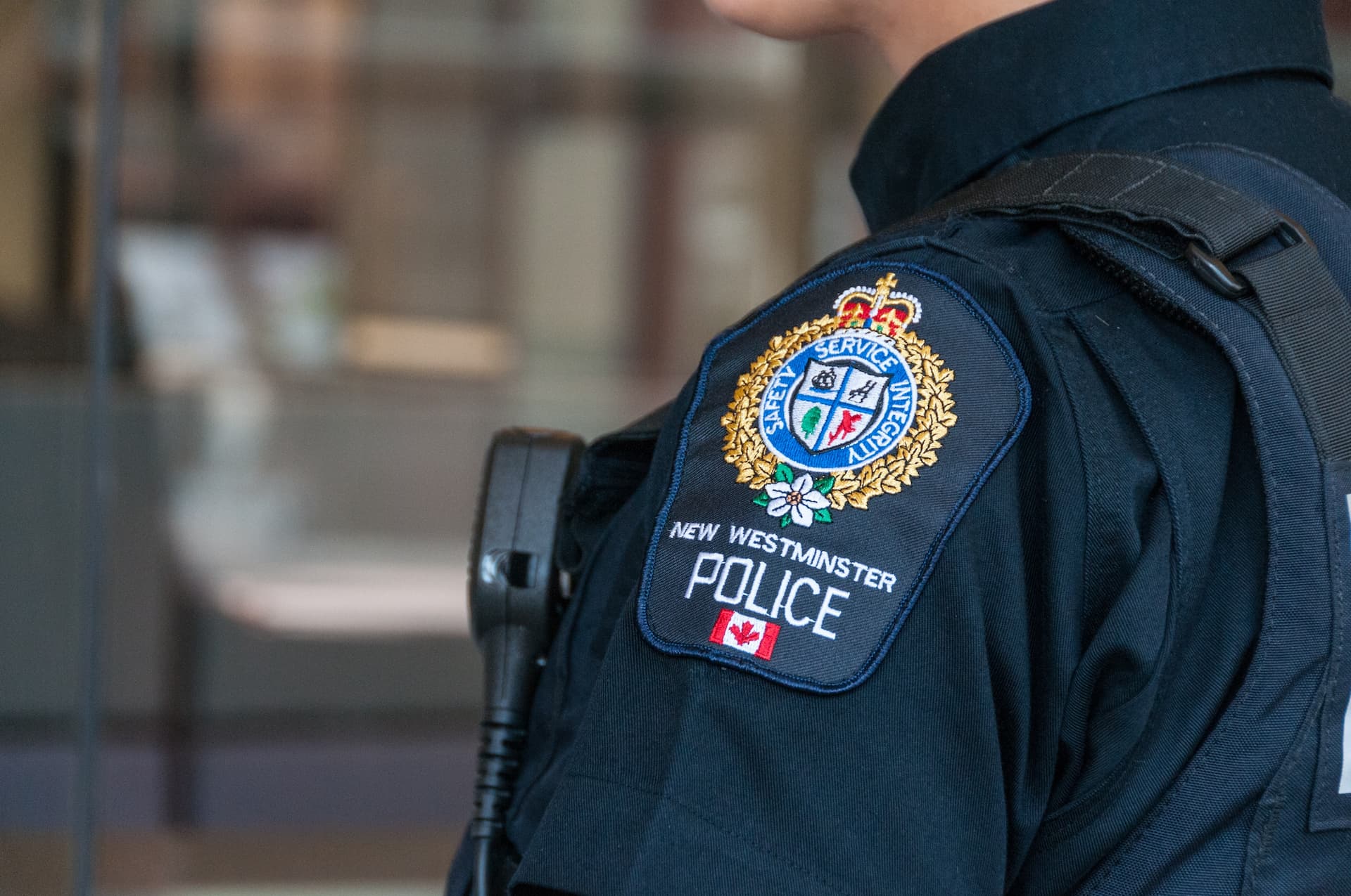 new-westminster-police-department-searches-for-vandalism-suspects