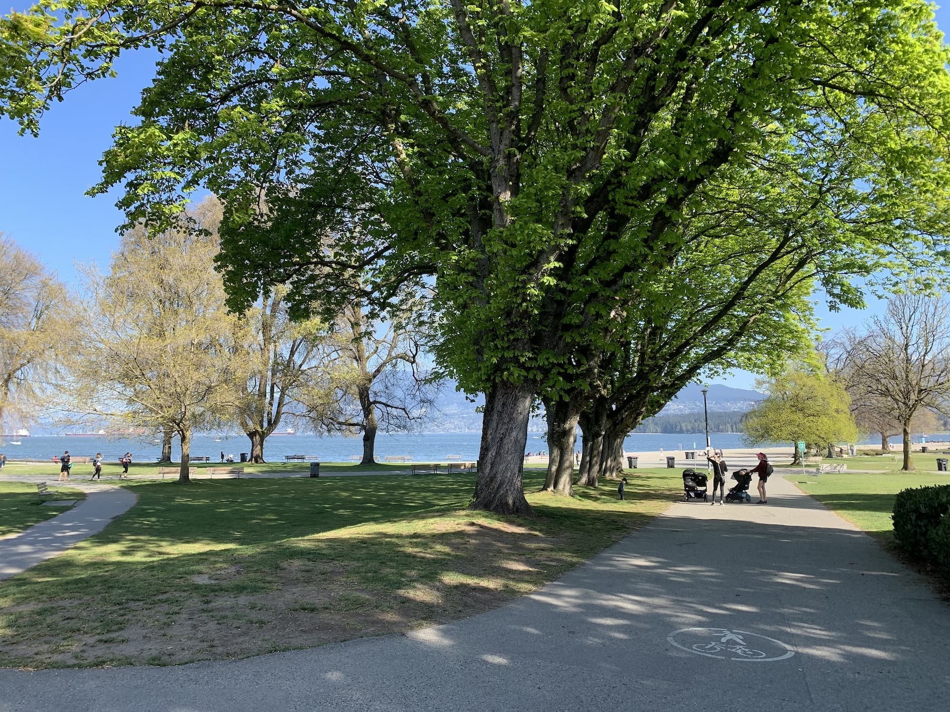 unanimous-approval-for-ban-on-feeding-any-wild-animals-in-vancouver-parks