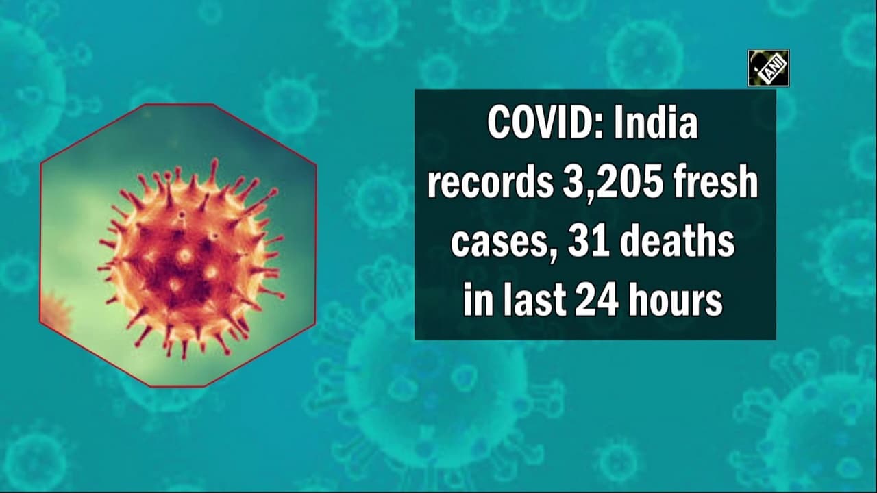 india-reports-3-205-new-covid-cases-31-more-deaths