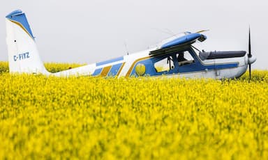 carney-pledges-370m-in-incentives-for-canola-sector