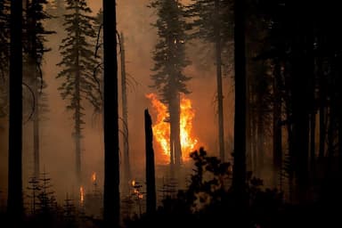 president-trump-issues-disaster-declaration-for-oregon-wildfires