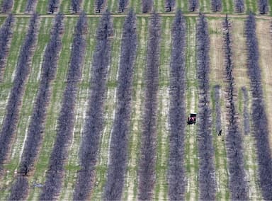 feds-unveil-50m-boost-to-help-agriculture-sector-handle-14-day-covid-19-quarantine