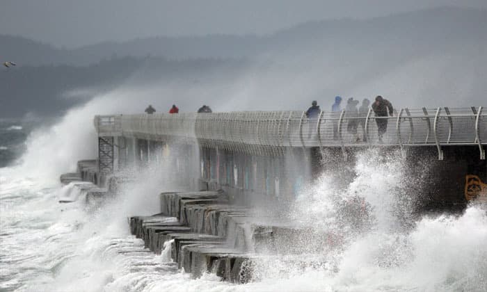 rain-wind-warnings-issued-along-b-c-south-coast