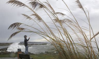 environment-canada-warns-winds-on-vancouver-island-metro-vancouver-may-cause-damage