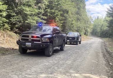 man-seriously-injured-after-being-attacked-by-a-black-bear-in-b-c