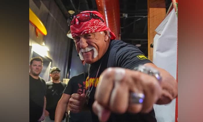 hulk-hogan-icon-in-professional-wrestling-dies-at-age-71