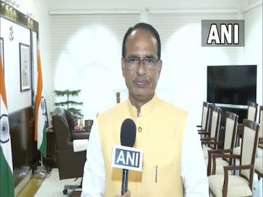 mp-to-procure-black-moong-at-msp-registrations-to-start-on-july-18