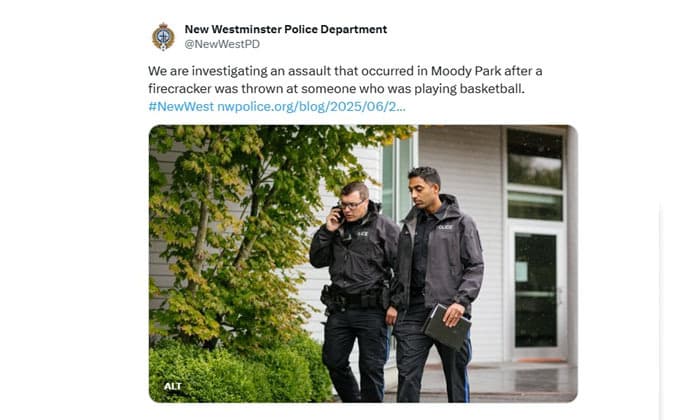 police-seek-witnesses-after-firecracker-assault-in-moody-park