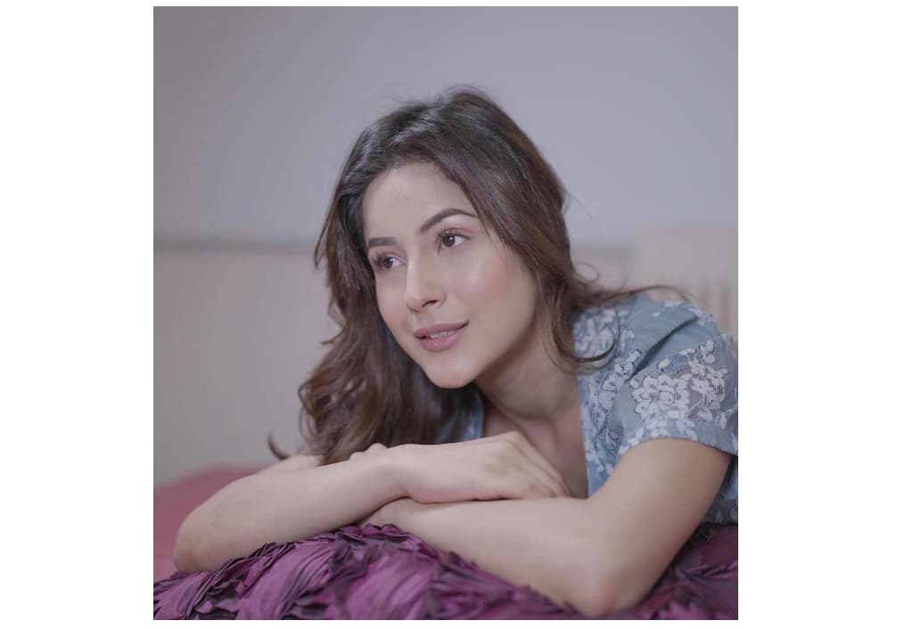 shehnaaz-gill-yo-yo-honey-singh-just-a-collab-or-something-more