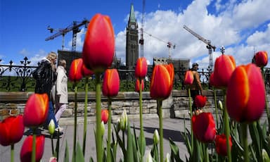 canadas-population-declines-slightly-in-first-quarter-of-2026-as-non-permanent-resident-numbers-fall