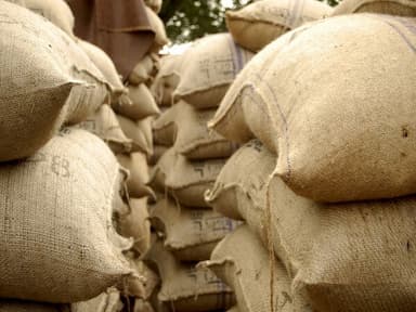 wheat-procurement-operations-in-punjab-to-continue-till-may-31