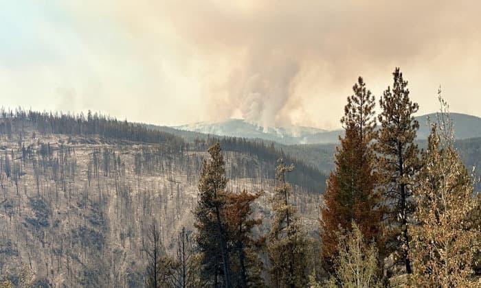 more-than-60-new-wildfires-sparked-by-lightning-in-b-c-50-flights-cancelled-at-vancouver-airport
