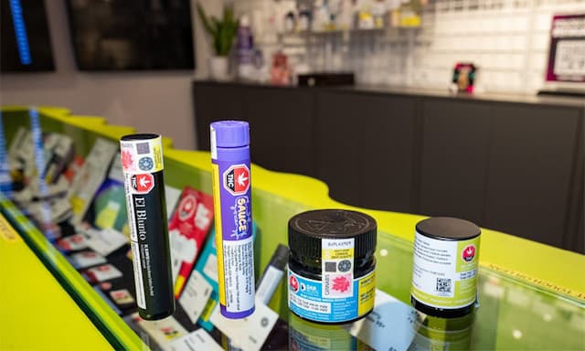 Canadian Government Invests $24 Million in Cannabis and Brain Health Research - https://cdn.connectfm.ca/brain-health-research.jpg