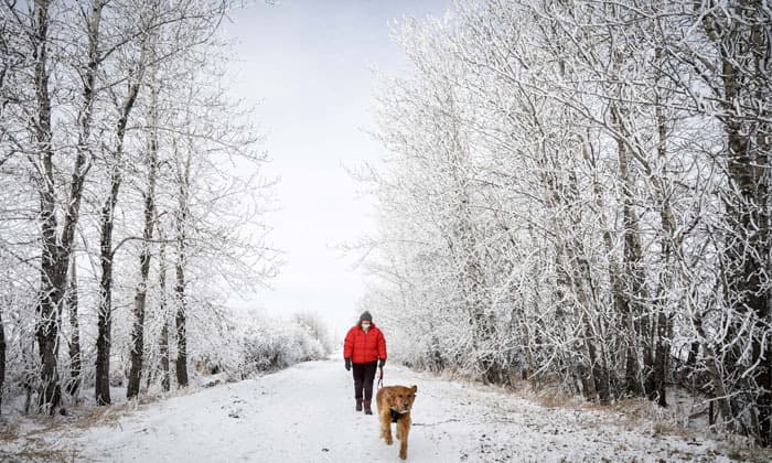 western-and-northern-canada-faces-frigid-temperatures-and-snow-ahead-of-christmas