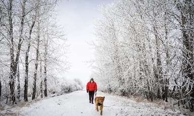 western-and-northern-canada-faces-frigid-temperatures-and-snow-ahead-of-christmas