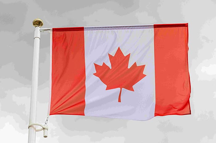 mps-summon-ceos-of-rogers-bell-and-telus-to-appear-at-committee-about-phone-prices