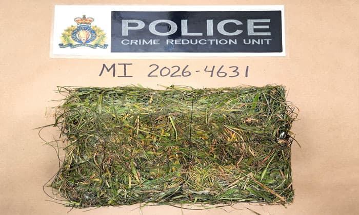 drug-package-disguised-as-grass-patch-found-inside-mission-institution-rcmp-investigating