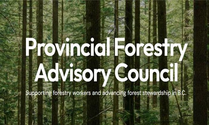provincial-forest-advisory-council-launches-website-engagement-process